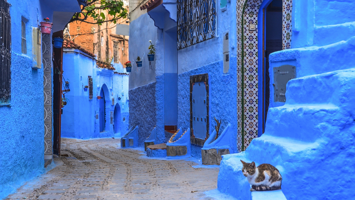 Day trip from Fes to Chefchaouen